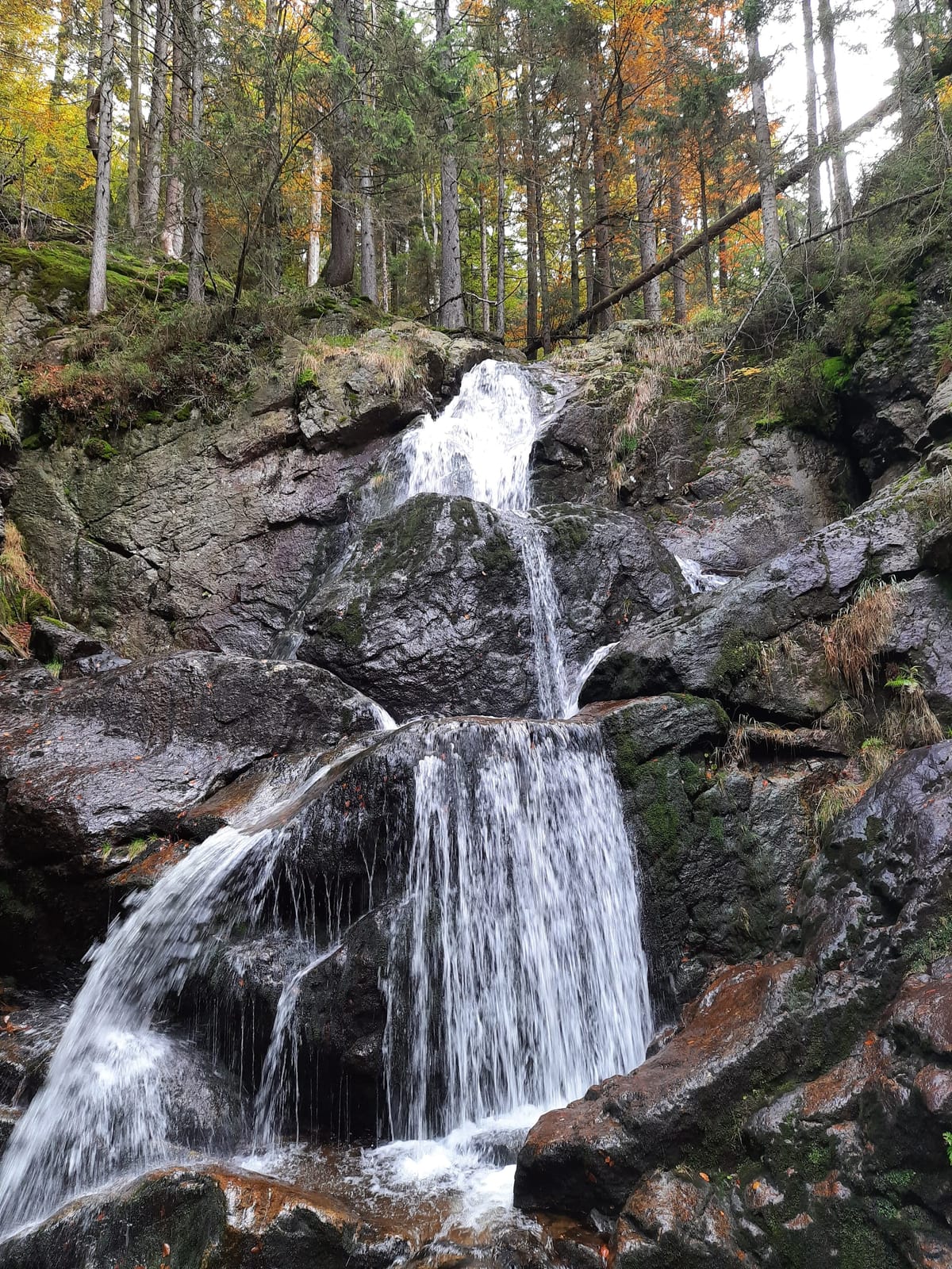 Rißlochfälle bei Bodenmais