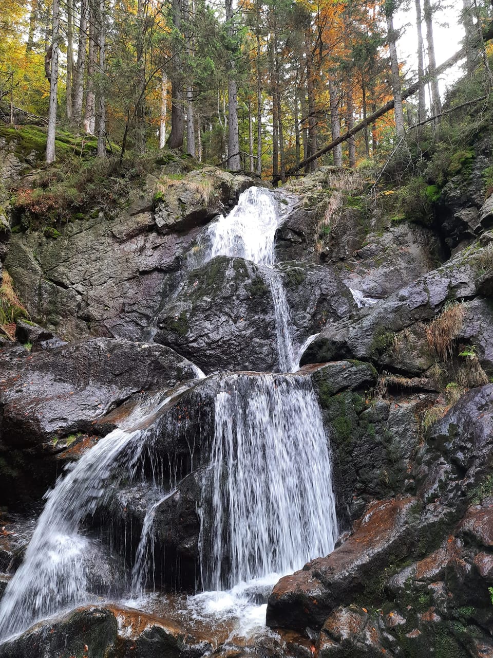 Rißlochfälle bei Bodenmais